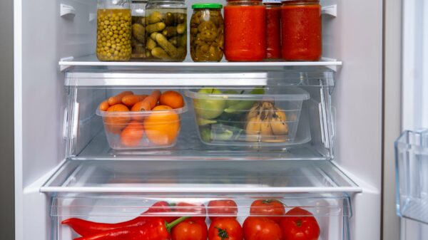 Best Fridge Accessories